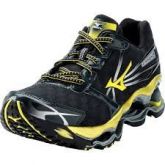 Mizuno wave prophecy