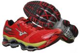 Mizuno wave prophecy